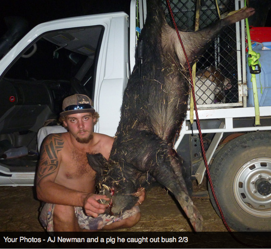 Screen Shot 2013-10-02 at 1.33.24 PM